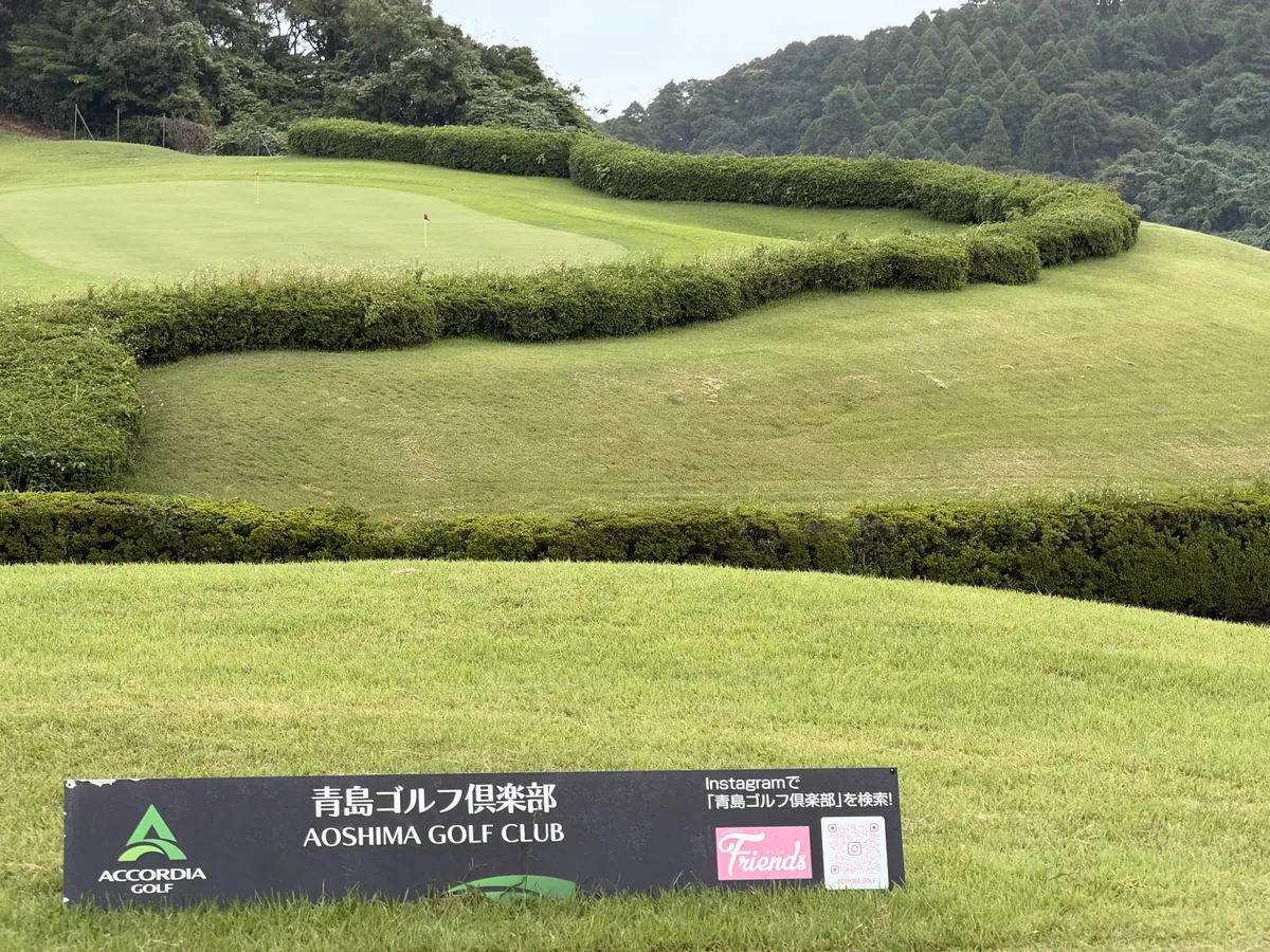 青島ゴルフ倶楽部 生け垣に囲まれたグリーン