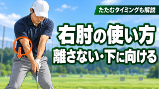 ゴルフの右肘の使い方：離さない・下に向ける（たたむタイミングも解説）